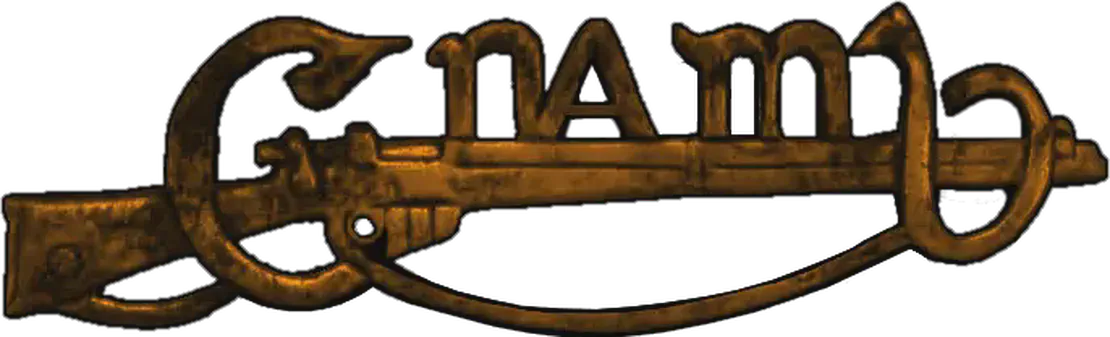 Cumann na mBan, Irish womens republican movement founded