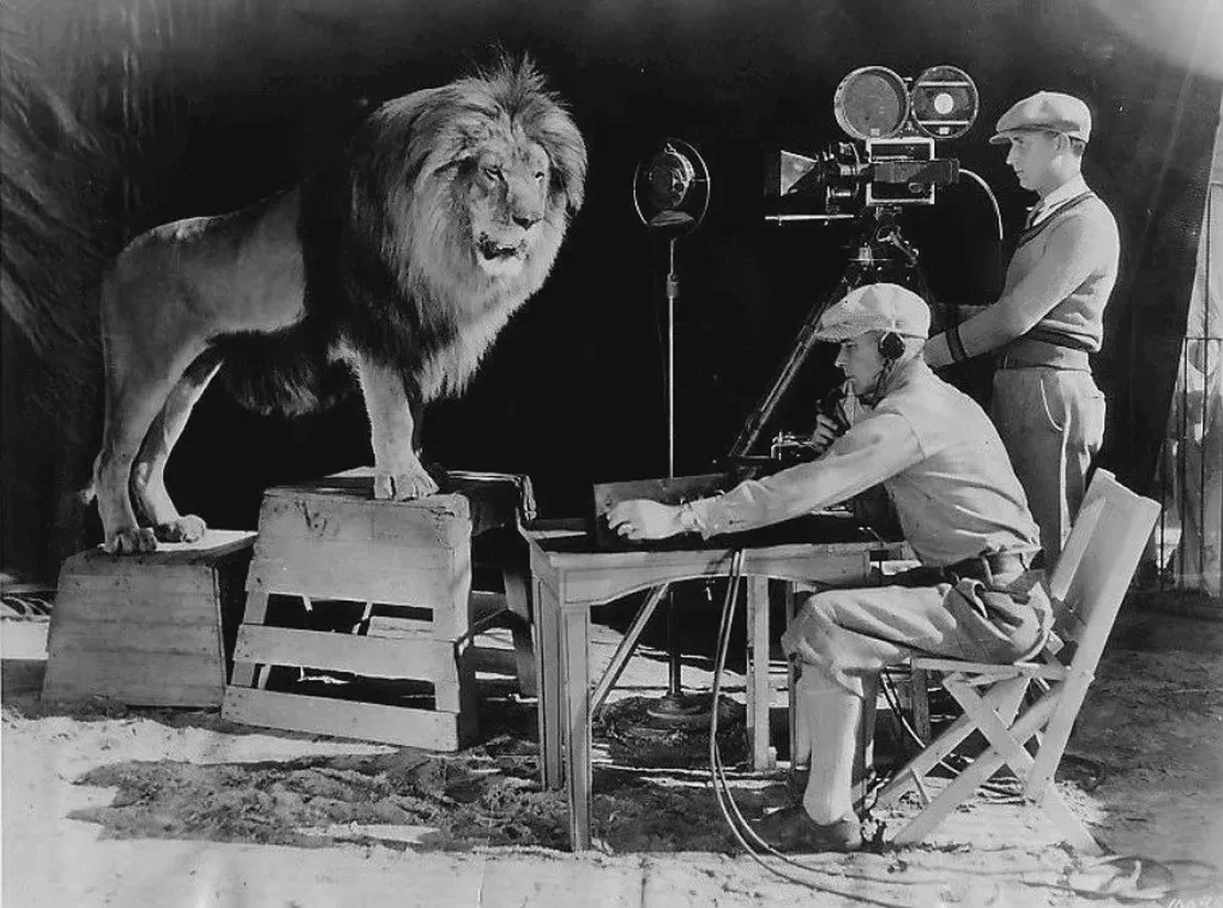 The lion, known as of Cairbre, used to introduce Metro-Goldwyn-Meyer films, born in Dublin