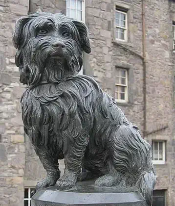/images/tich/greyfriars_bobby.webp